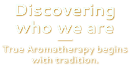 Aromatherapy Guild